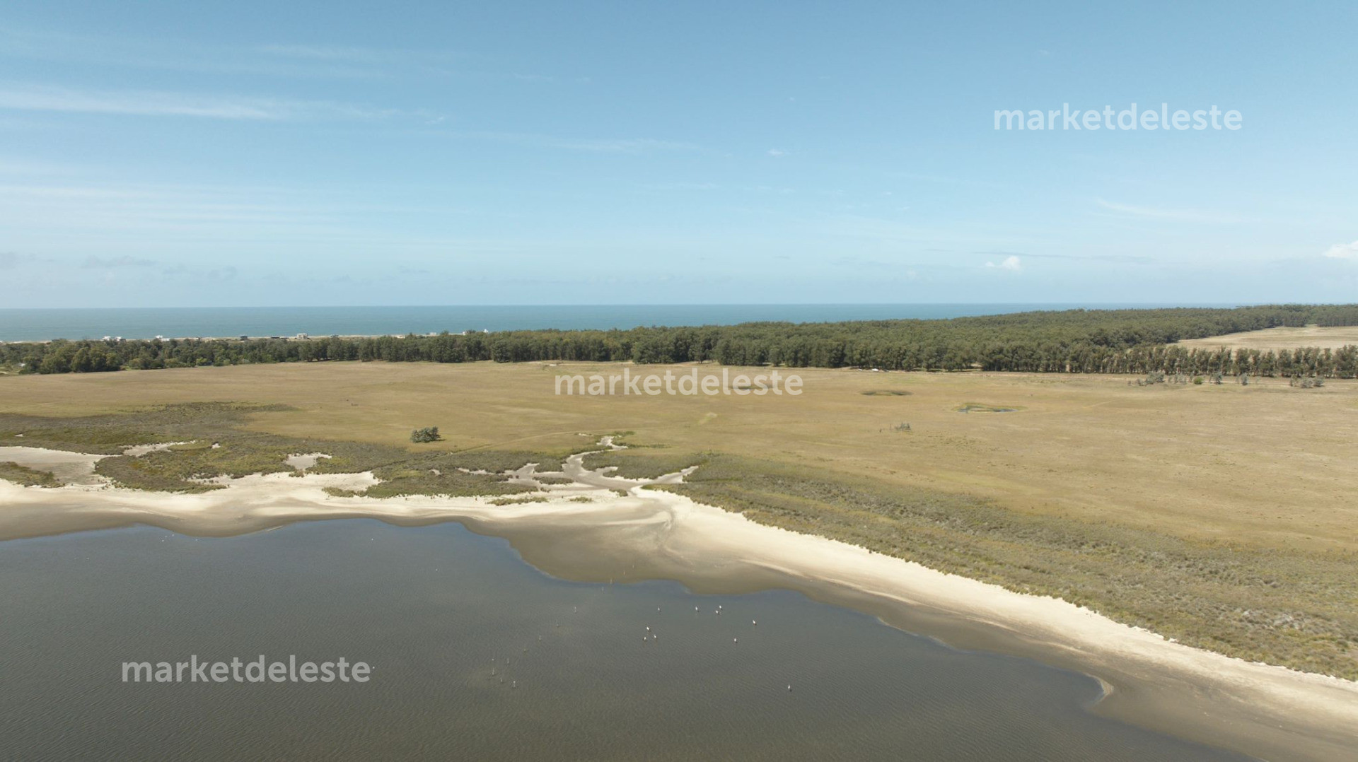 Chacra de 15 hectáreas con costa a la Laguna de José Ignacio