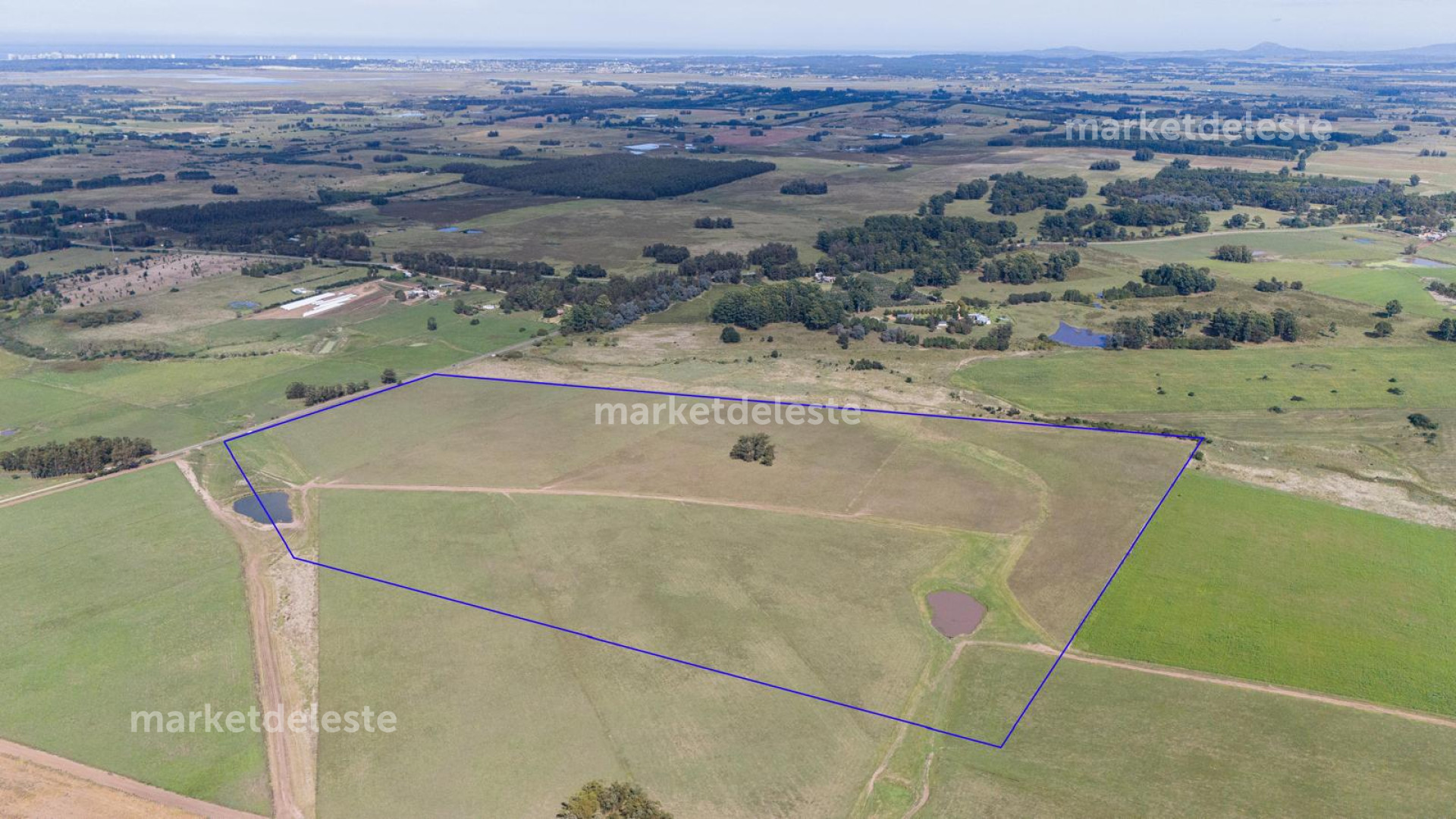 RUTA 104 - CHACRA 42 HECTÁREAS 