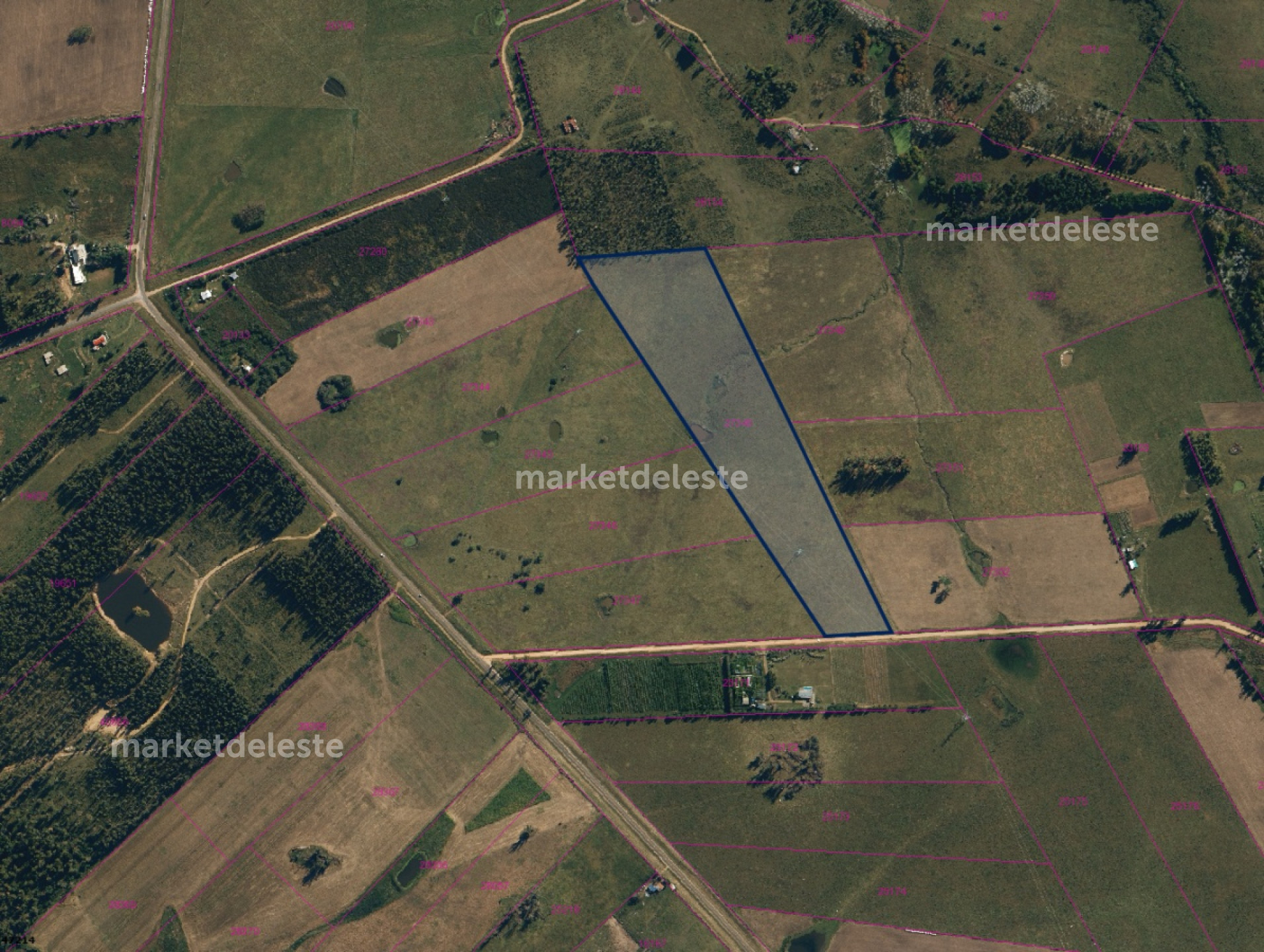 CHACRA DE 7.1 HÁS EN RUTA 104 