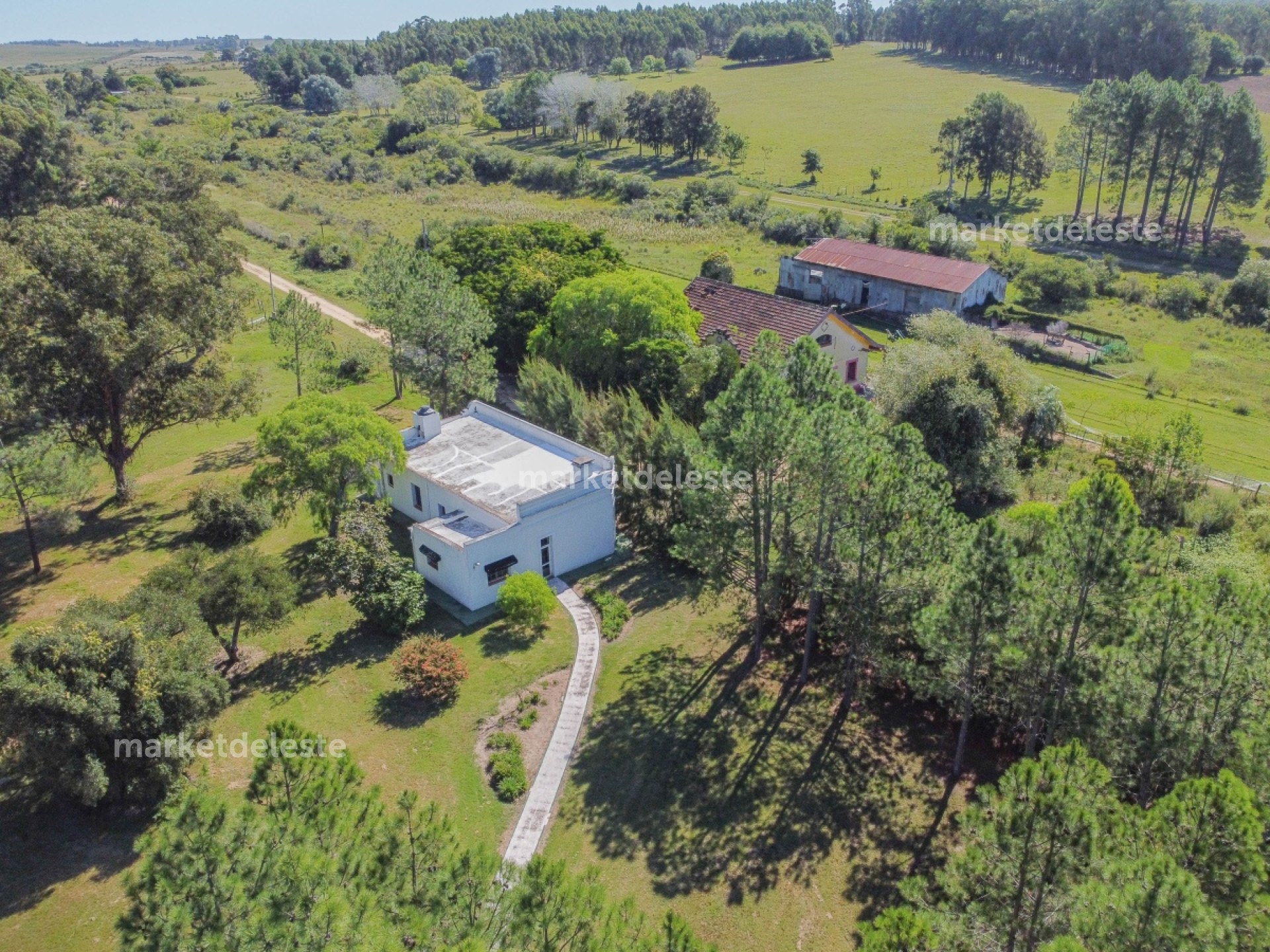 CHACRA PATRIMONIAL EN JOSÉ IGNACIO