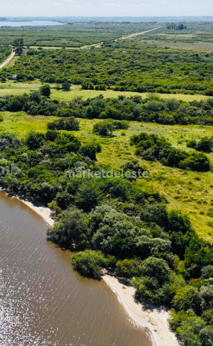 CAMPO UNICO SOBRE RIO NEGRO - TURISTICO GANADERO