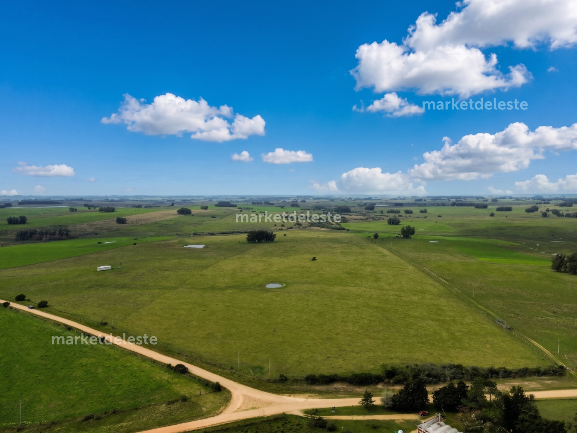 CAMPO EN JOSE IGNACIO NORTE
