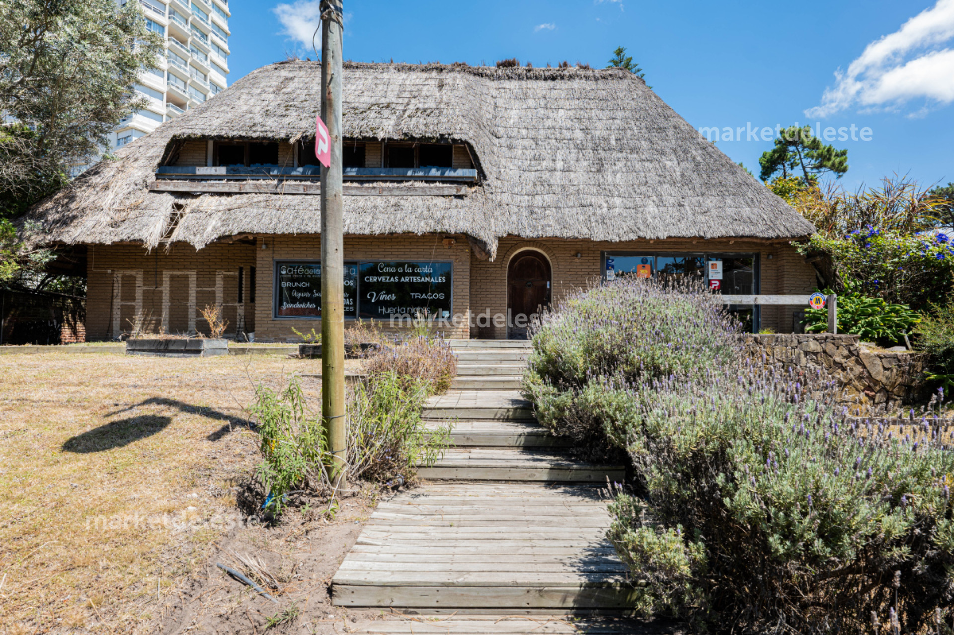 LOCAL COMERCIAL - AV PEDRAGOSA SIERRA