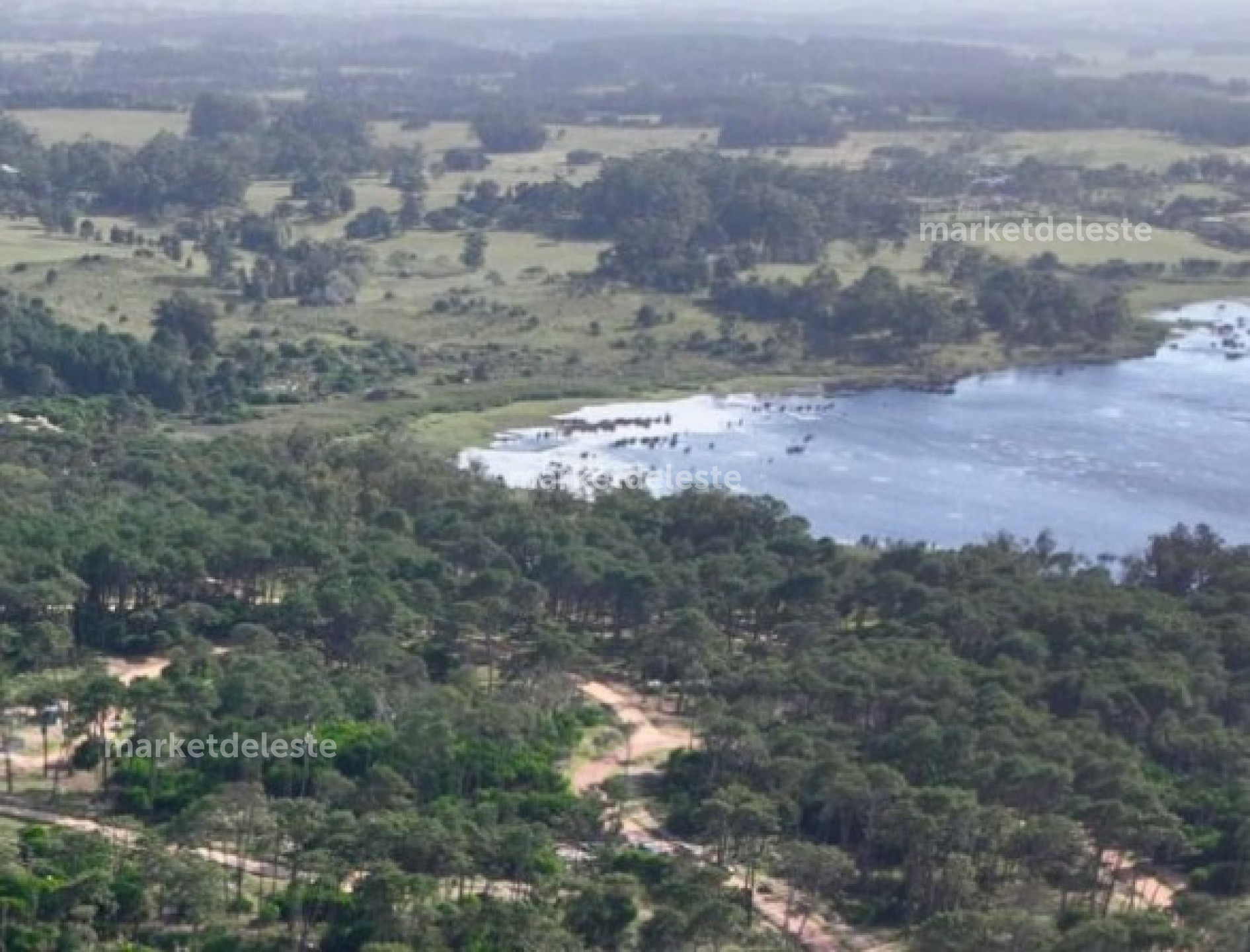 TERRENO SOBRE LA LAGUNA BLANCA EN RESERVA MONTOYA-LA BARRA