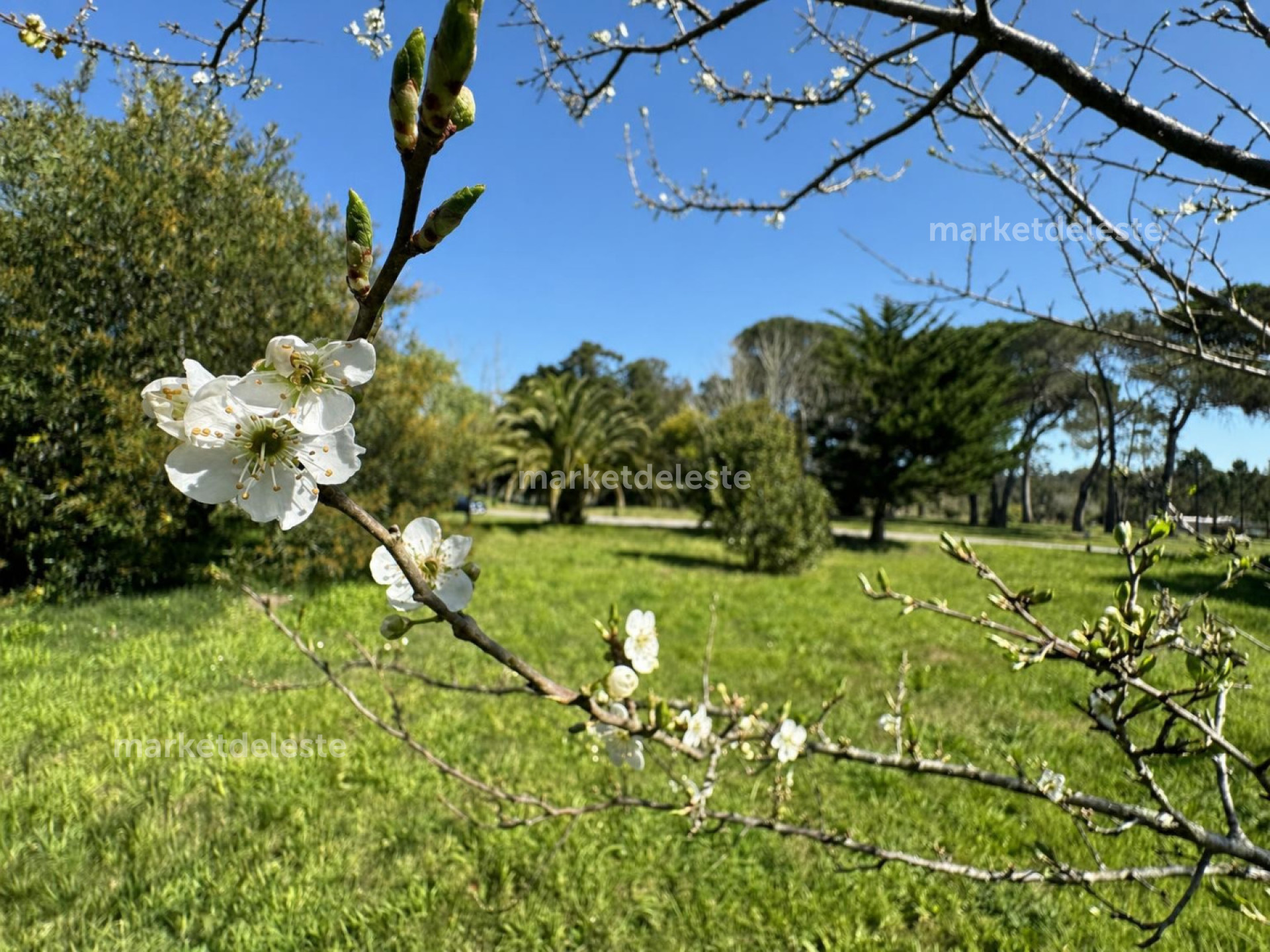 DISTRITO 52 - LOTE EN VENTA LA CAÑADA