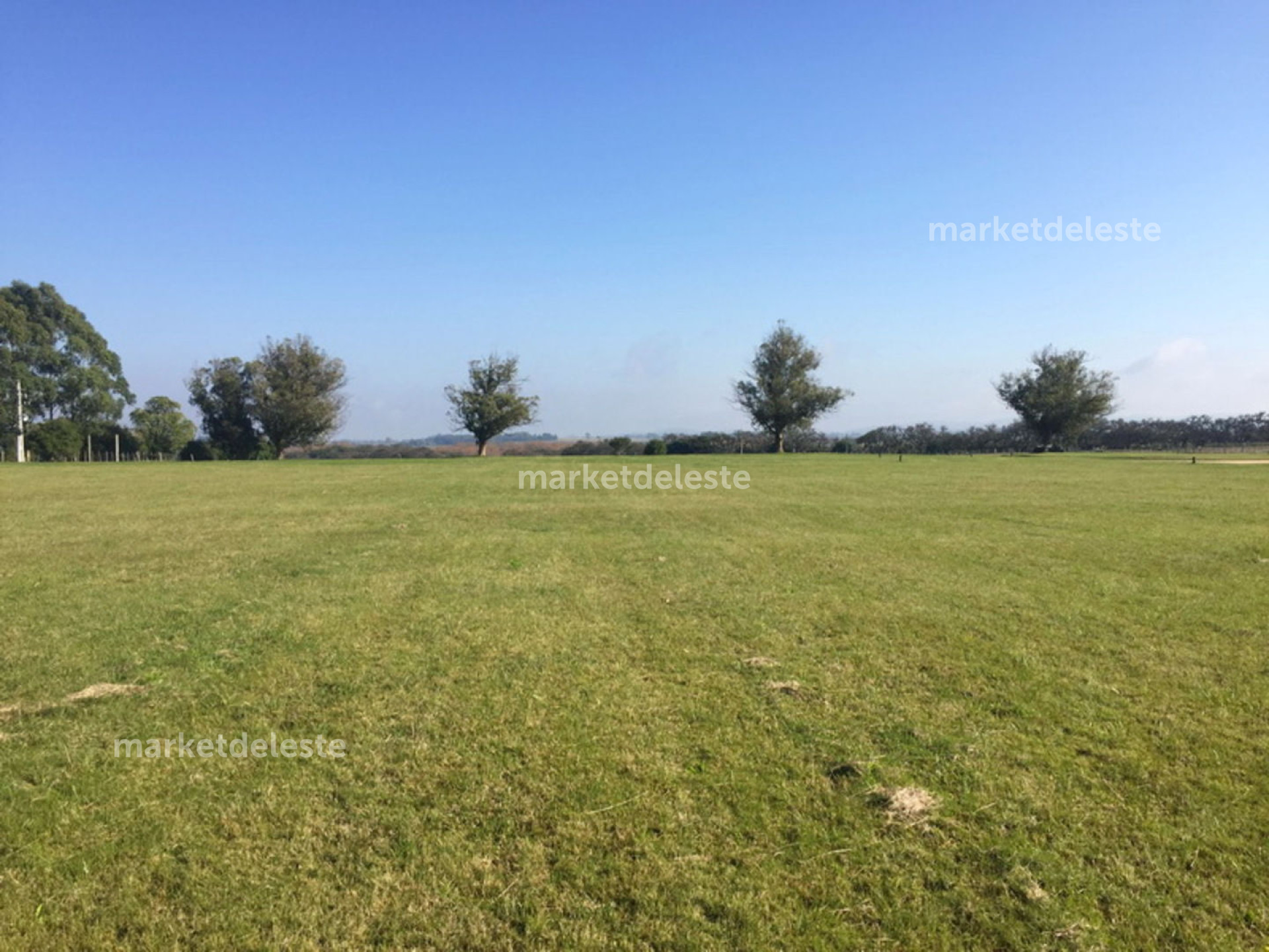 EL QUIJOTE - LOTE 5000