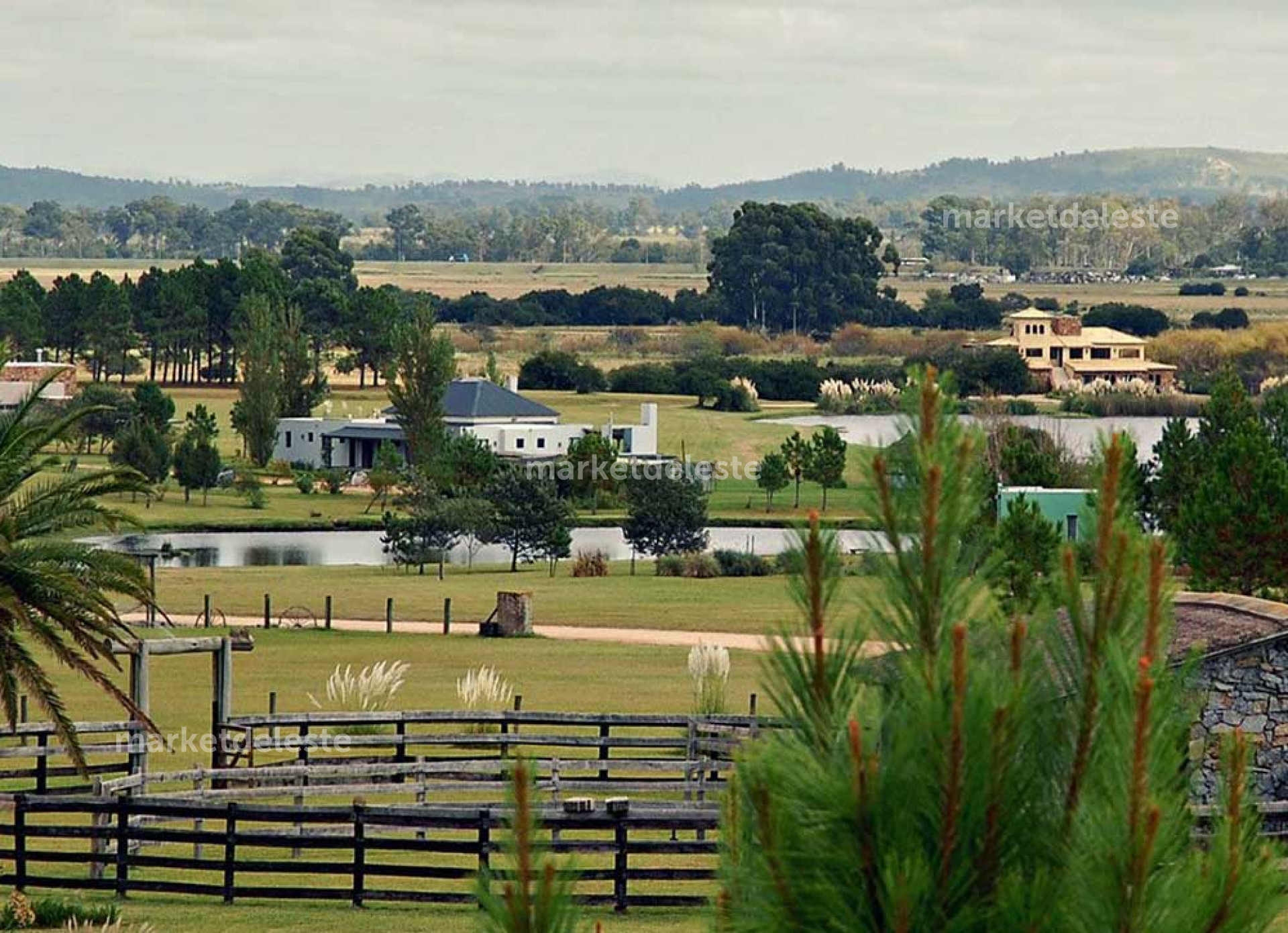 LOTE EN EL QUIJOTE - 5000 M2