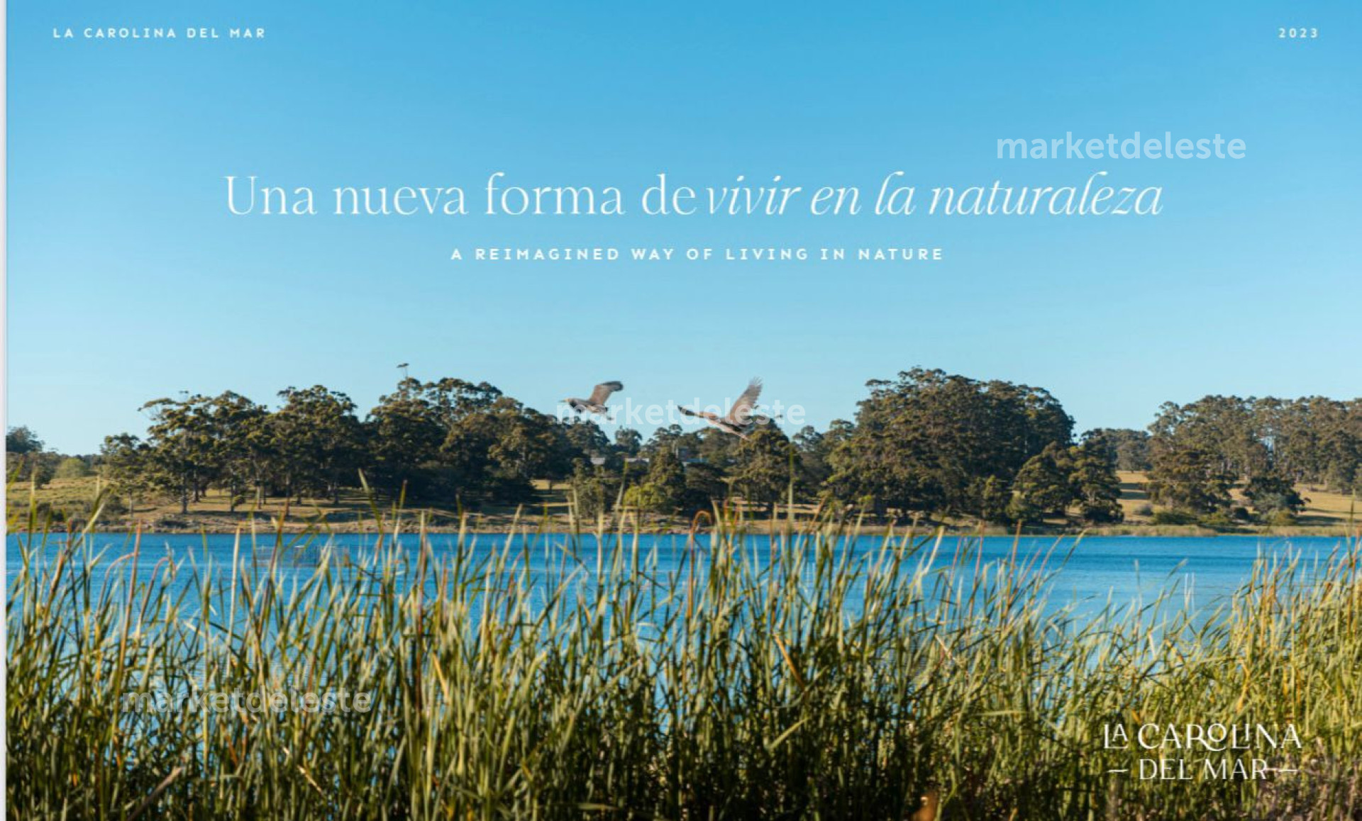LA CAROLINA LOTE SOBRE LAGO CENTRAL