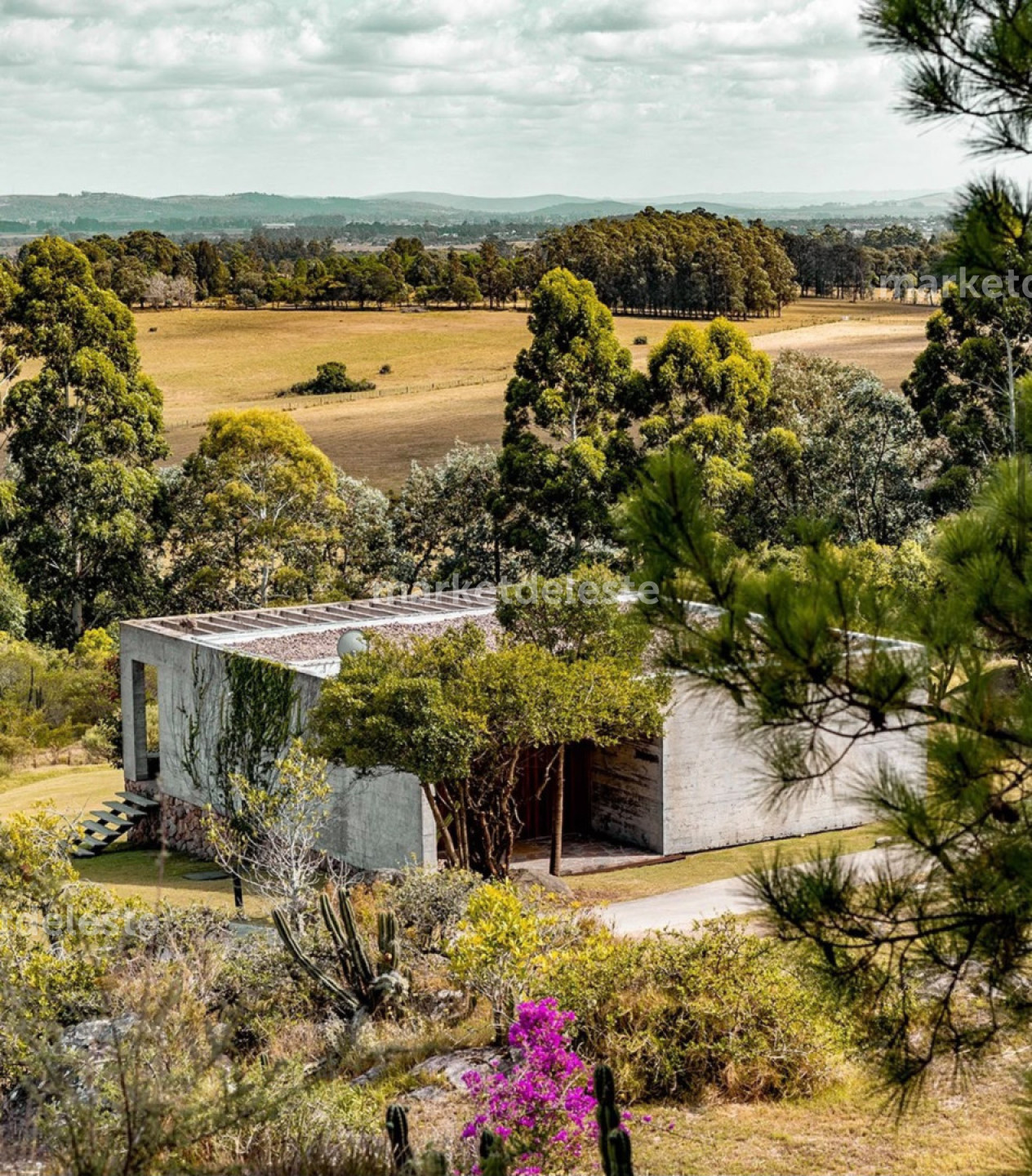 LOTE EN FASANO DE 4143 M2