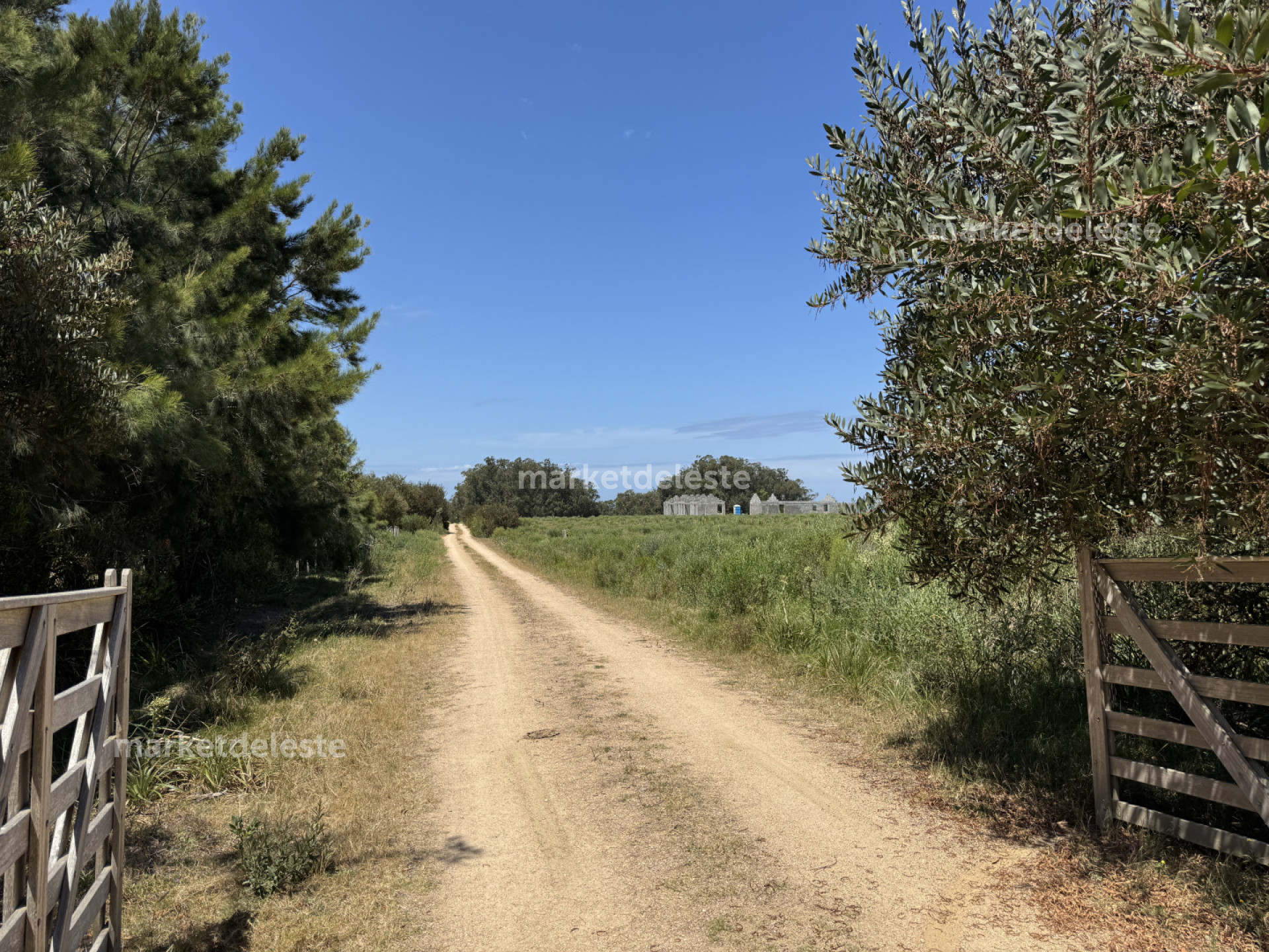 OPORTUNIDAD - LOTE JOSÉ IGNACIO