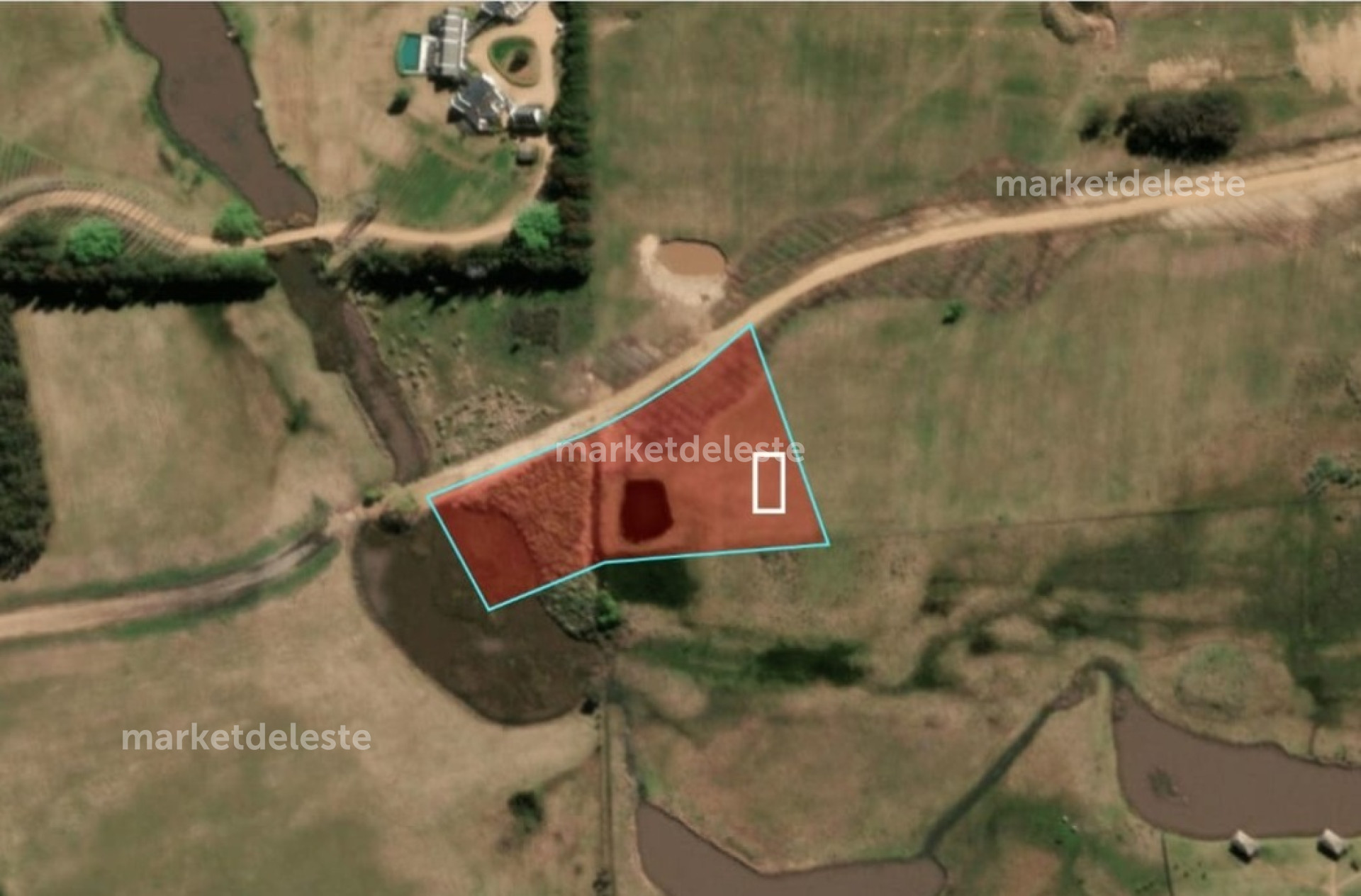 PLANTACIONES 1.1 HÁ