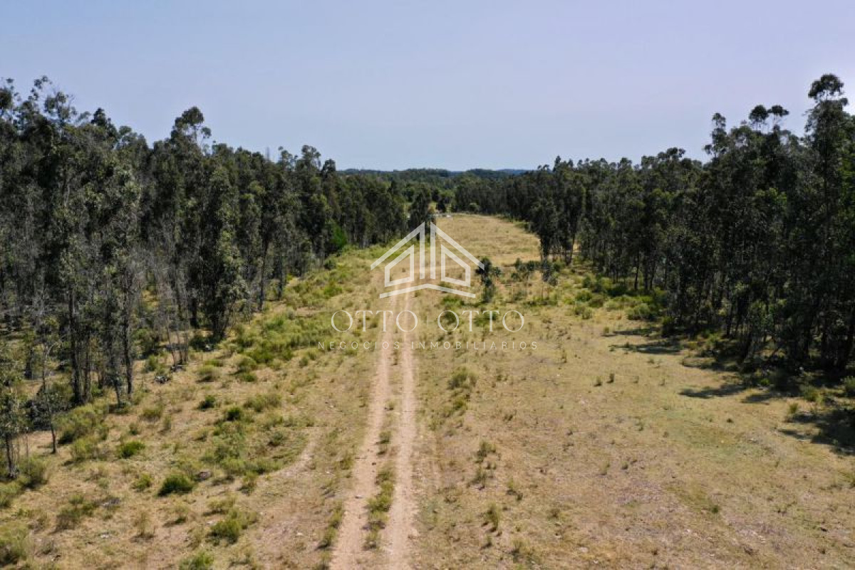 Chacra en venta monoambiente imagen 3