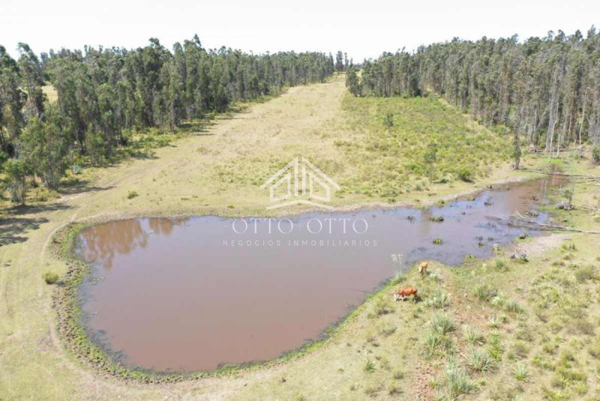 Chacra en venta monoambiente imagen 4