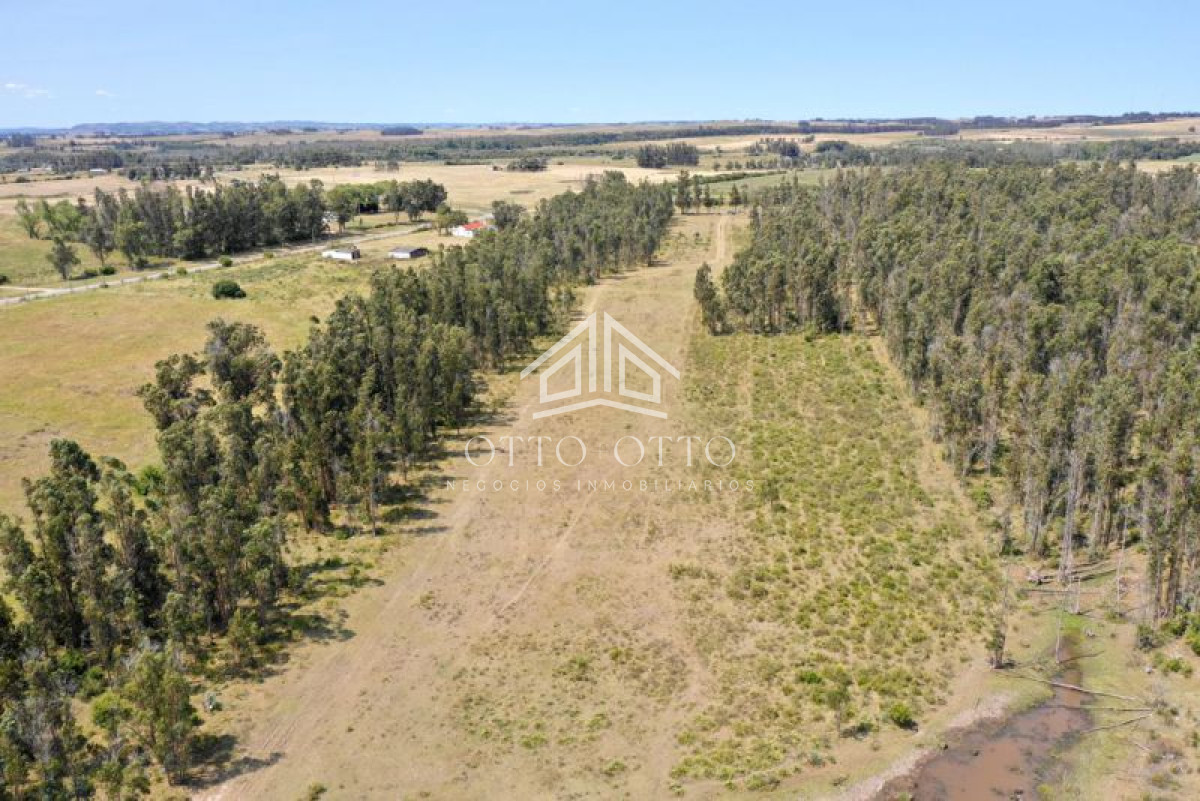 Chacra en venta monoambiente imagen 5