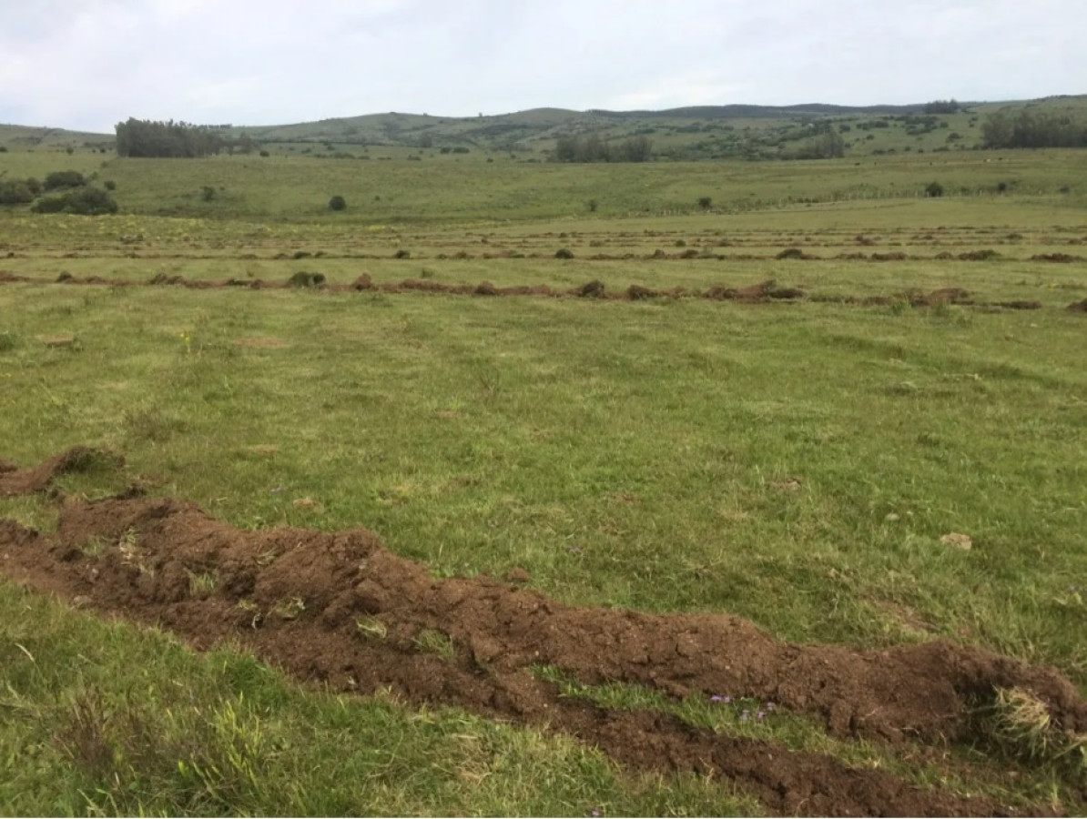 terreno en Pueblo Eden 62m2