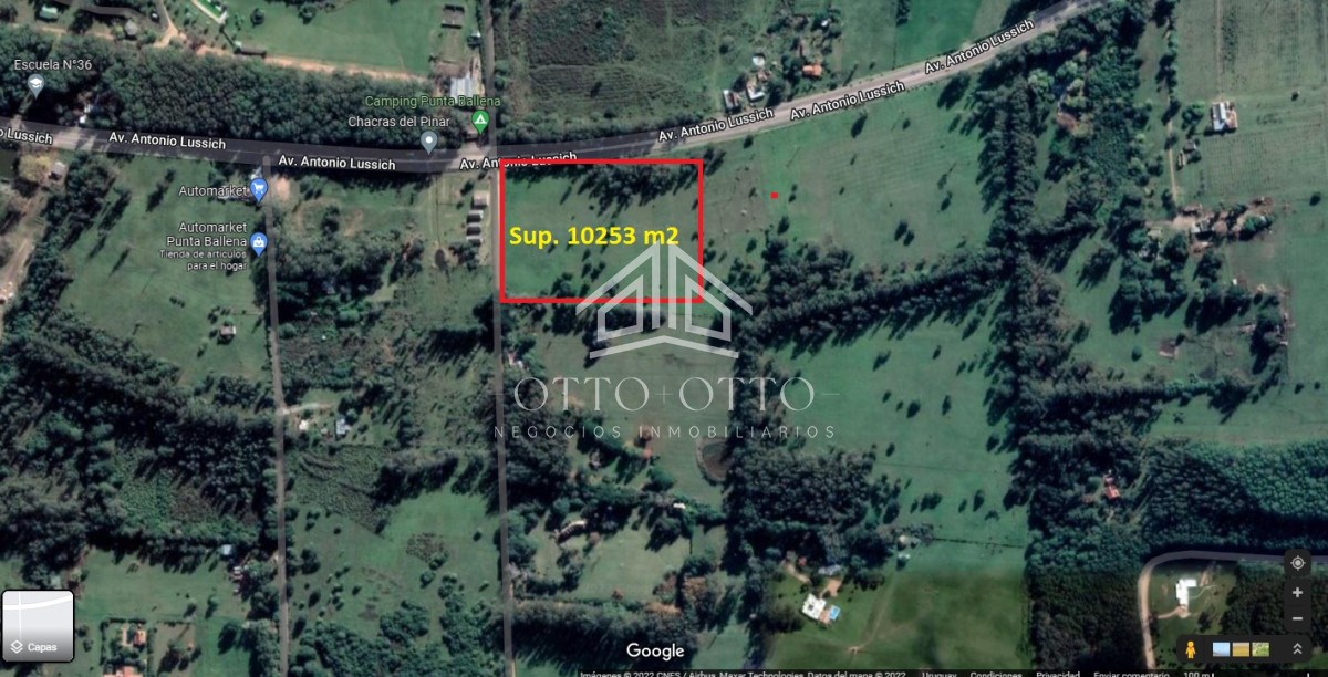 Lote con + de 10.000 metros. Punta del Este. Camino Lussich