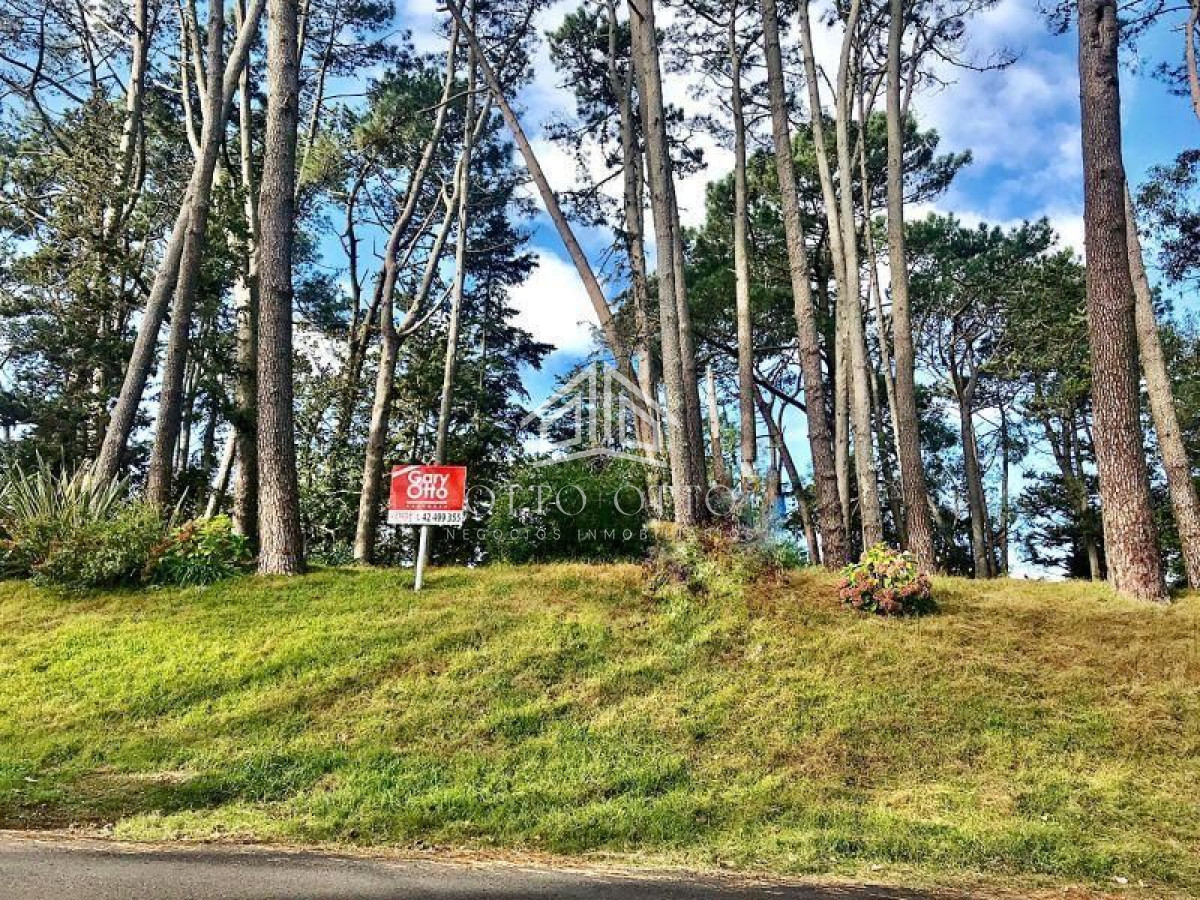 Terreno en venta Cantegril imagen 3