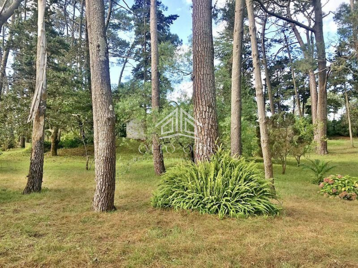 Terreno en venta Cantegril imagen 4