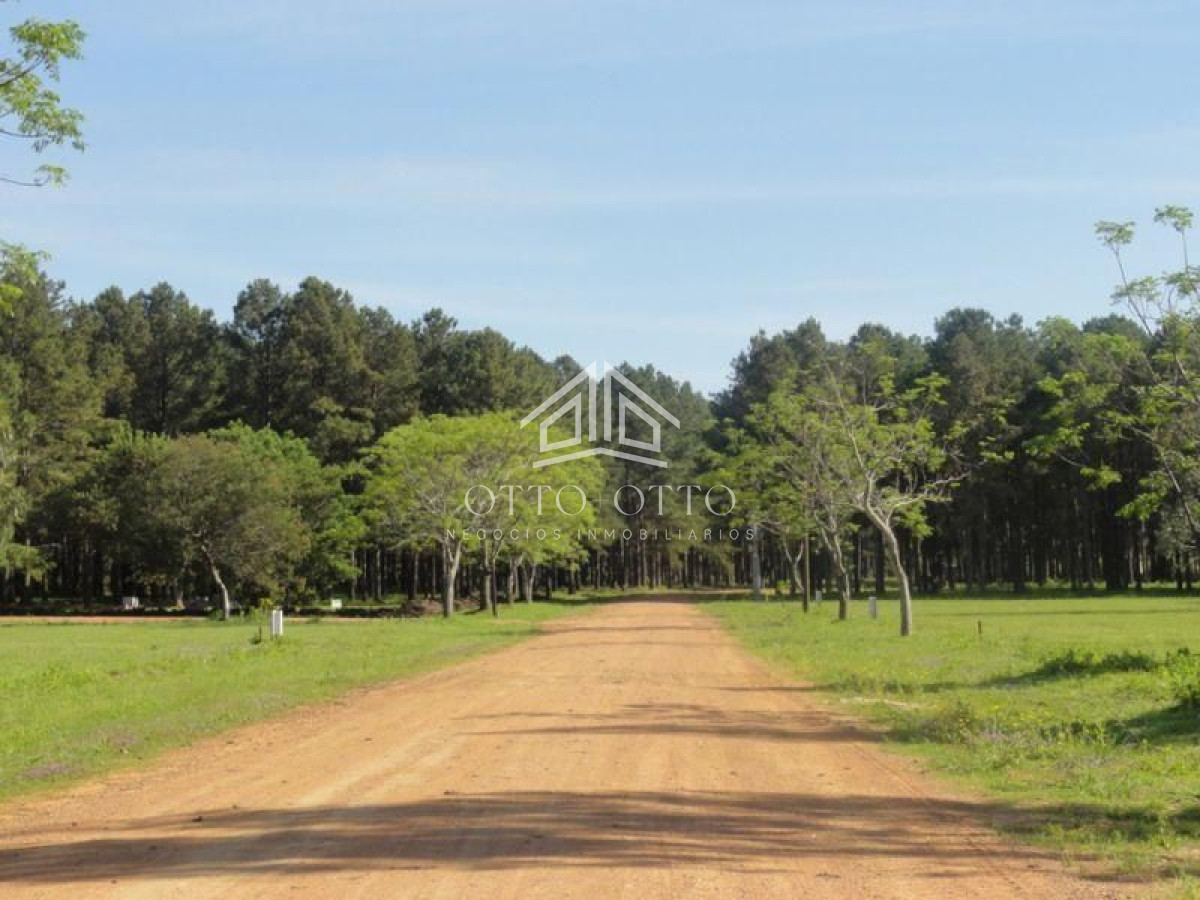 Terreno en venta Punta Del Este 