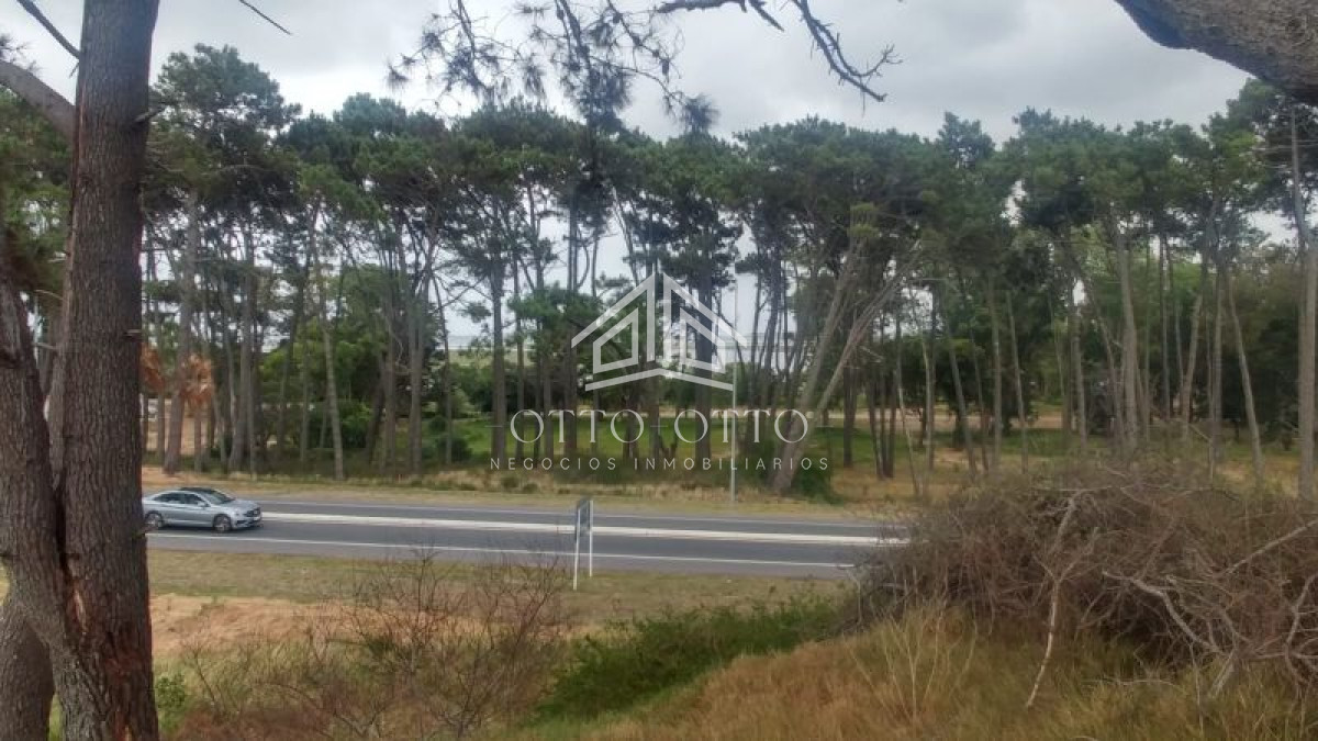 Terreno en venta Rincón Del Indio imagen 4