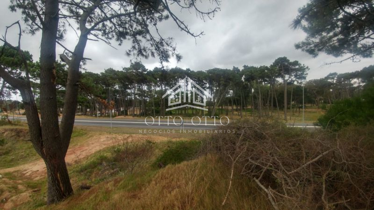 Terreno en venta Rincón Del Indio imagen 5