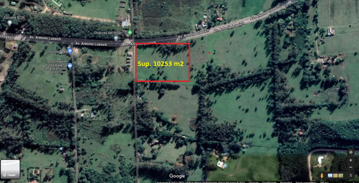 Lote con + de 10.000 metros. Punta del Este. Camino Lussich