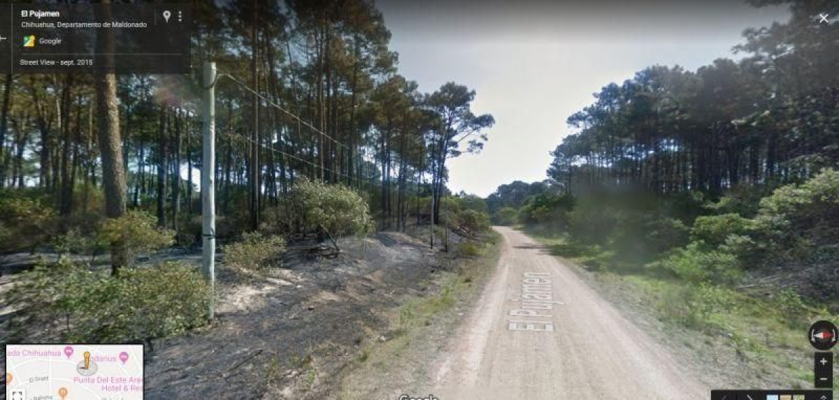 Terreno en venta Punta Del Este 