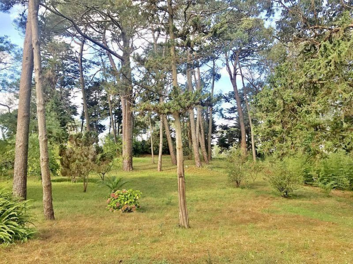 Terreno en venta Cantegril 