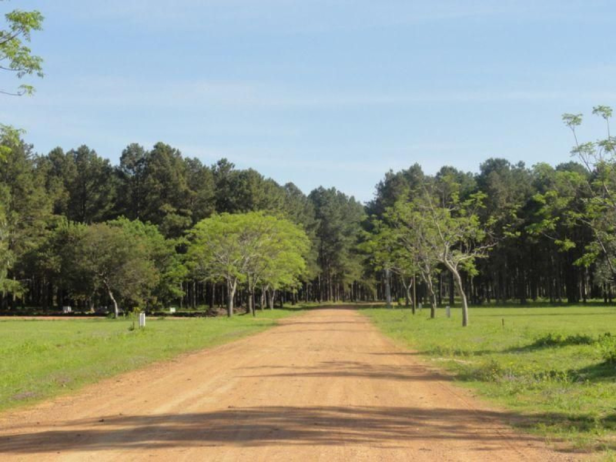 Terreno en venta Punta Del Este 