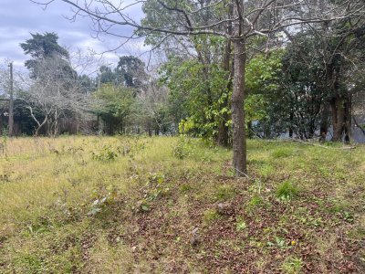 Terreno en Lugano