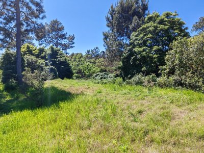 En venta terreno en Tío Tom a pasos de la playa