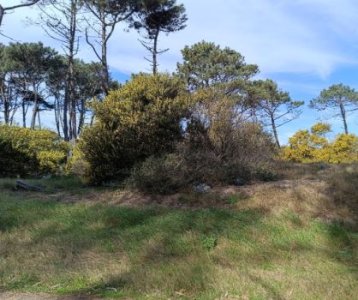 Terreno en venta en Tio Tom