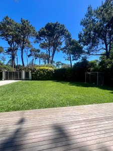 Alquiler de verano playa mansa 4 dormitorios