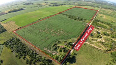 CHACRA DE MAS DE 44HA EN VENTA SAN JAVIER