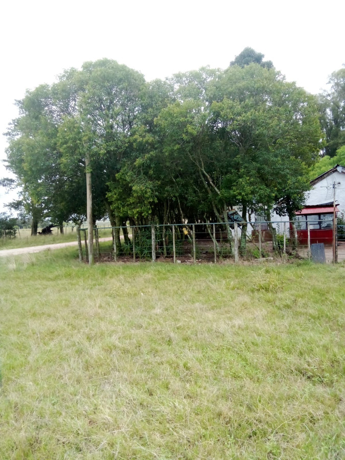 Vendo campo terreno chacra en Florida