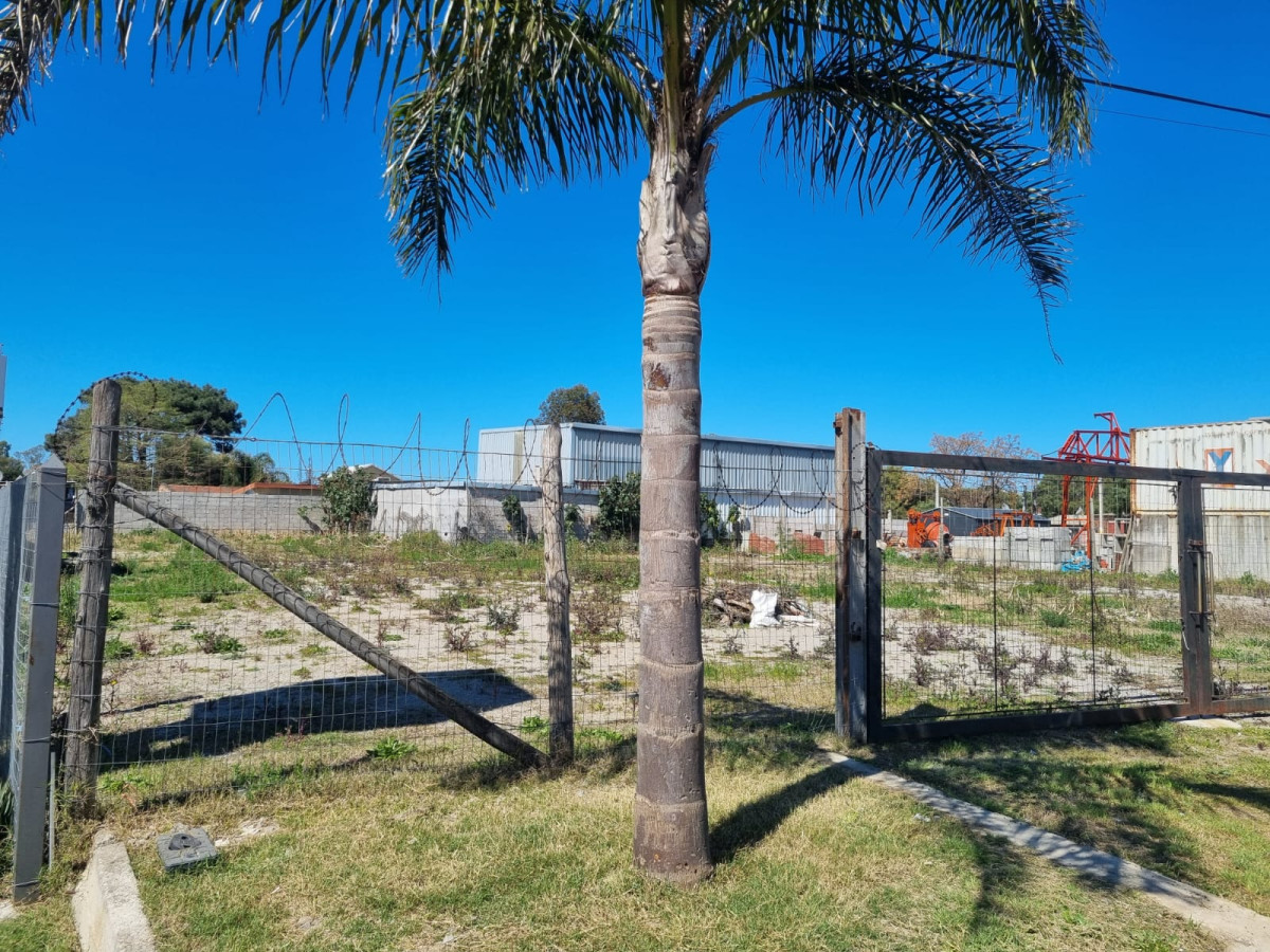 Venta y alquiler terreno 514 m2 Paso Carrasco C. de la Costa