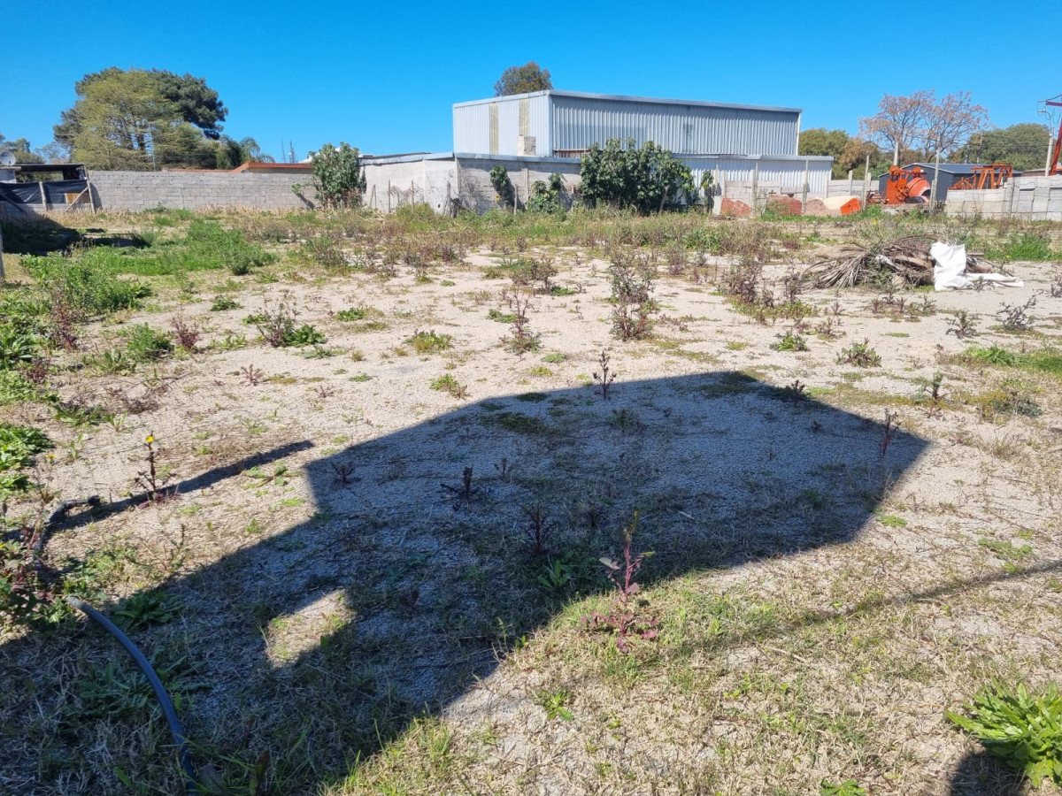 Venta y alquiler terreno 696 m2 Paso Carrasco C. de la Costa