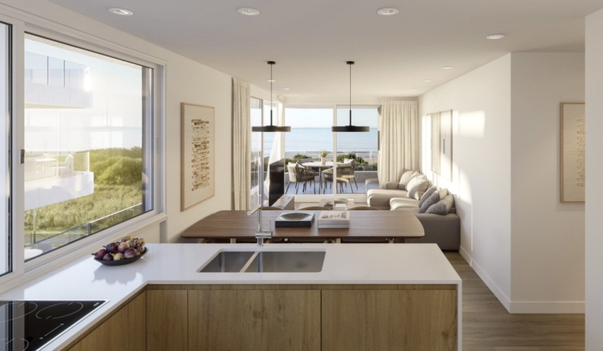 &nbsp;