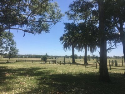 Alquiler De Chacra En Durazno Con Casa. 