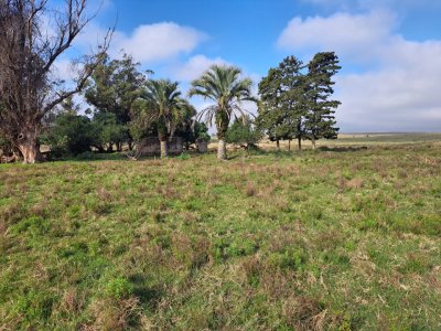Venta campo José Ignacio 