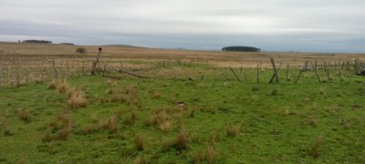 Venta campo Paysandu