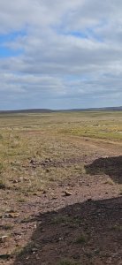 Campo en Tacuarembo vende