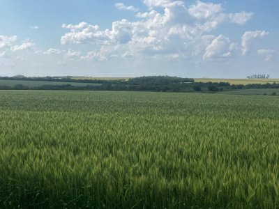 Campo en Paysandu Río Uruguay