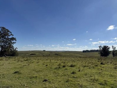 Venta campo José Ignacio 