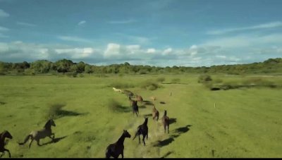 Venta de Chacras Terrenos Situado En Carmelo