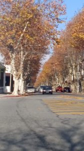 Terreno O Depósito Para Construcción Edificio Colonia