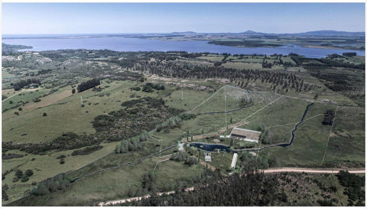 VENTA 5 CHACRAS PUNTA DEL ESTE-ECUESTRES