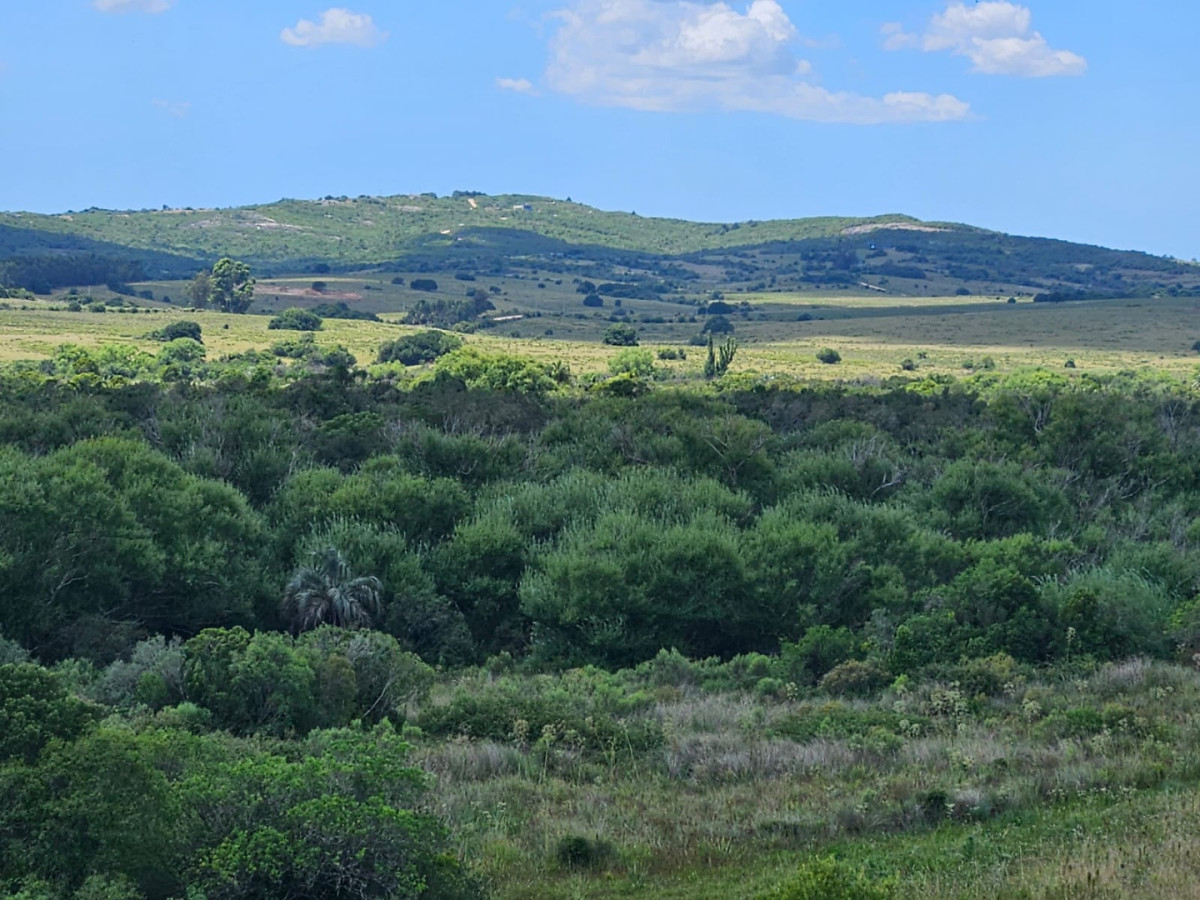 CHACRA EN VENTA EN JOSE IGNACIO 3 HECTAREAS