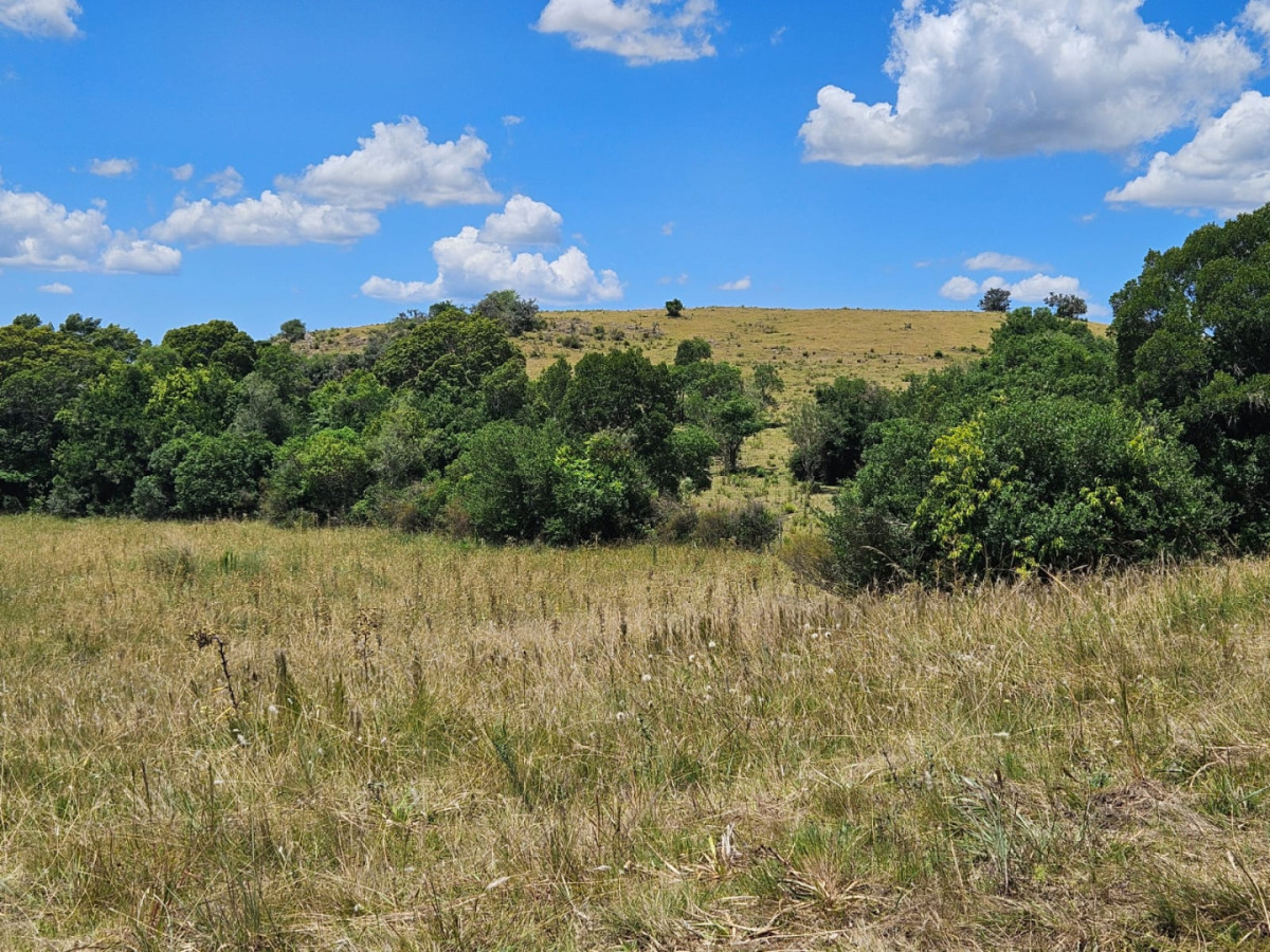 CHACRA EN VENTA EN JOSE IGNACIO 5.3 HECTAREAS