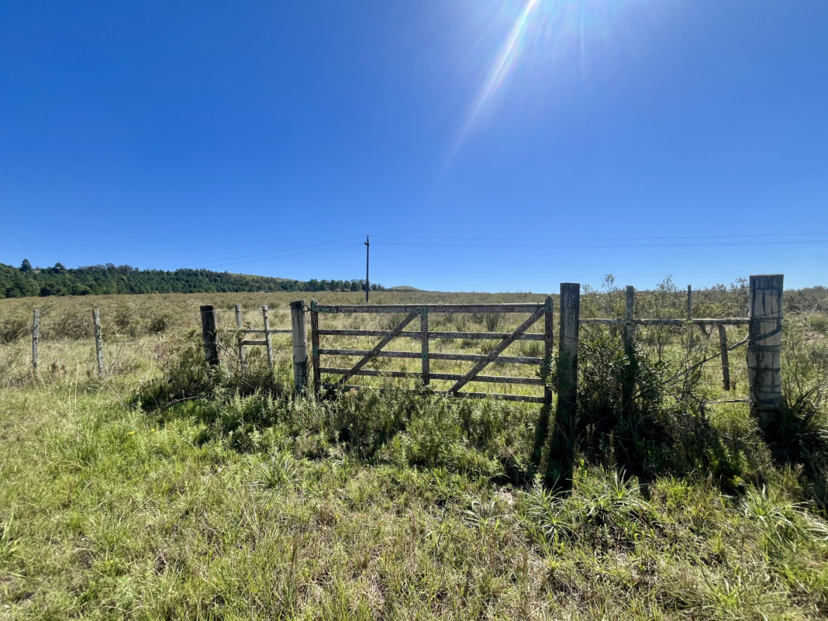 VENTA CHACRA DE 10 HECTAREAS Y MEDIA